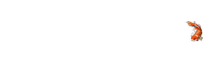 ARUSHOKI